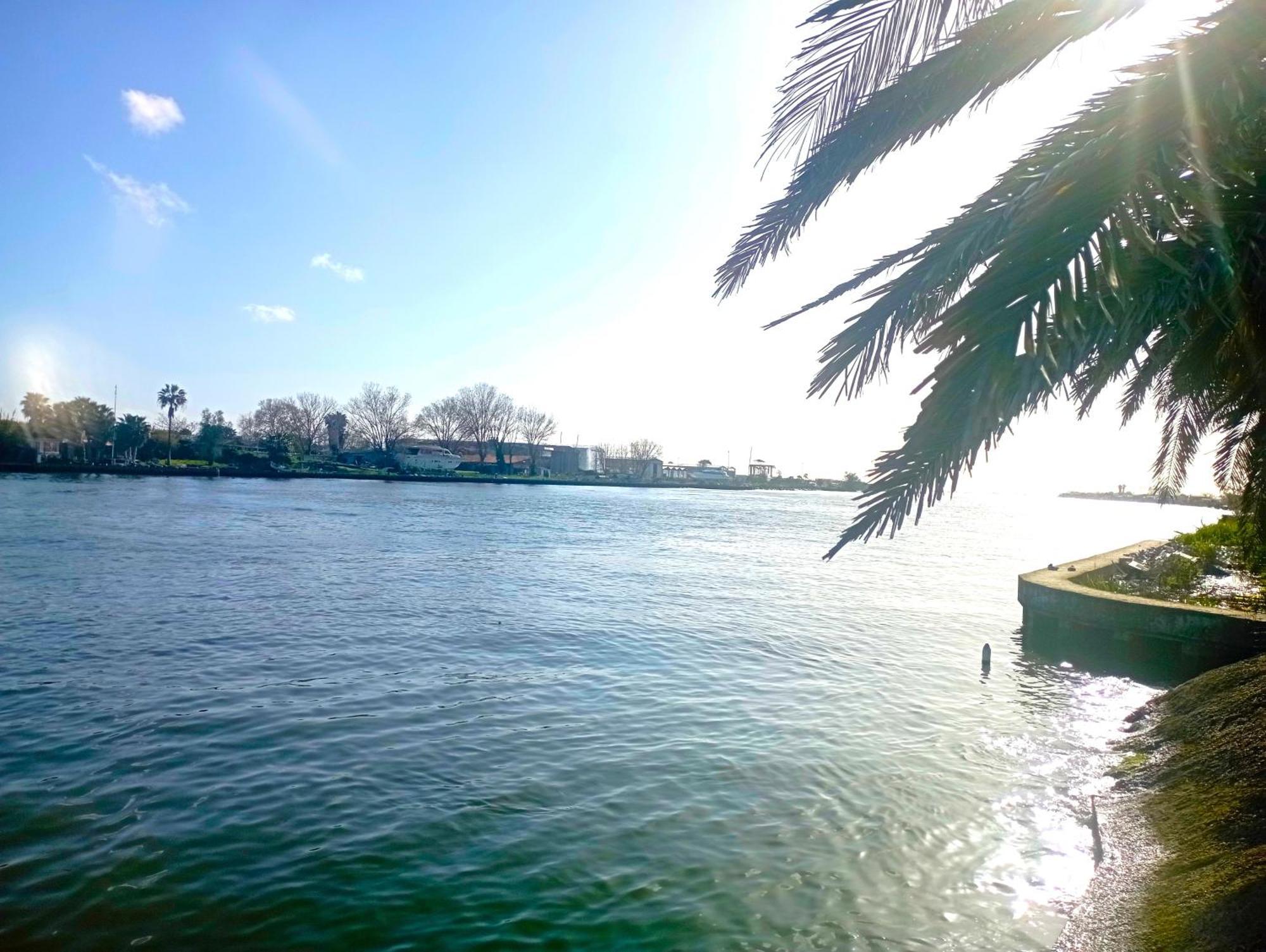 A Casa Dell' Artista Villa Fiumicino Dış mekan fotoğraf